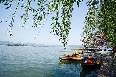 又双叒叕被美女包围了！Storytaco三款新作曝光